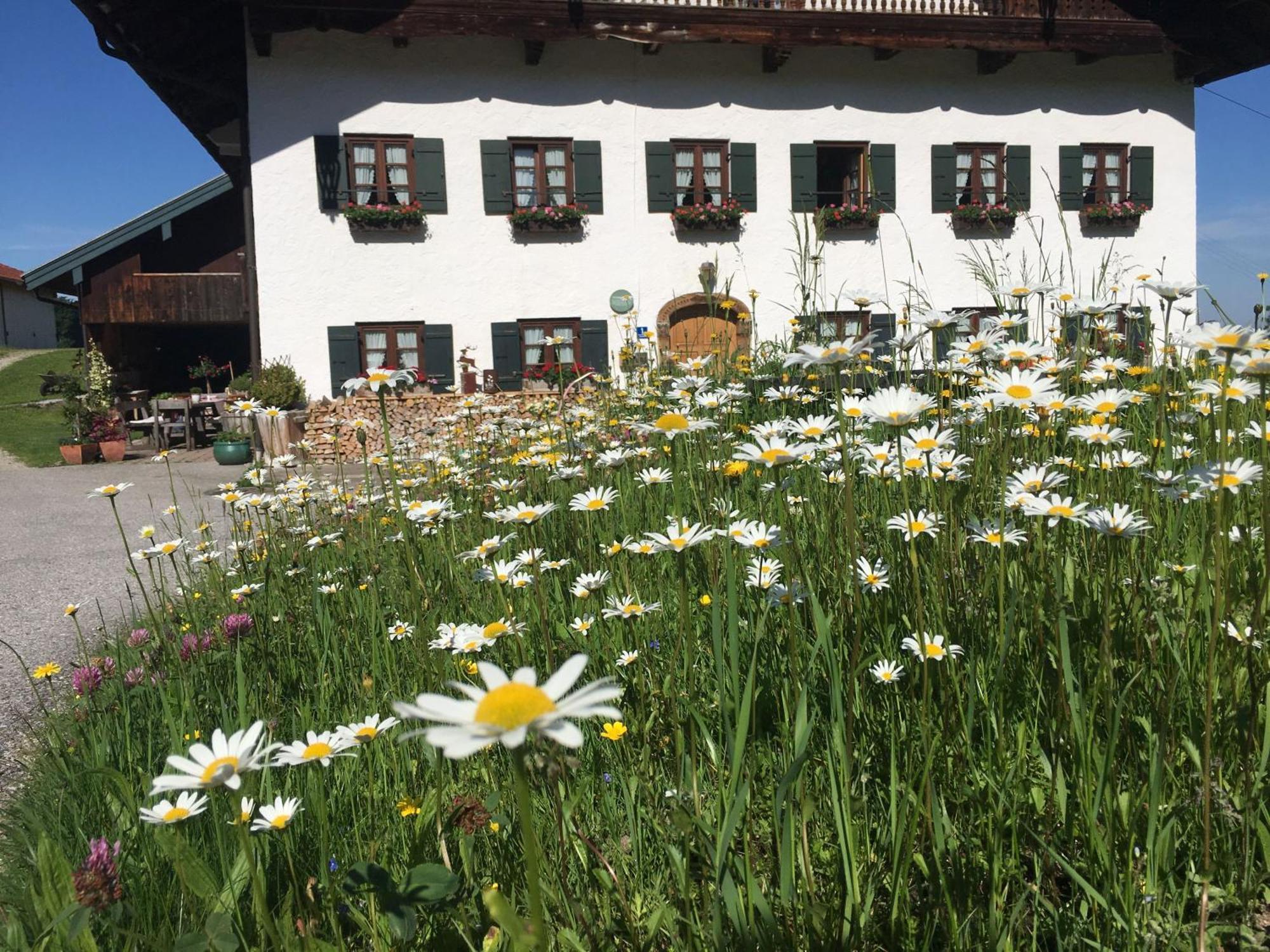 Stadlerhof Frasdorf Esterno foto